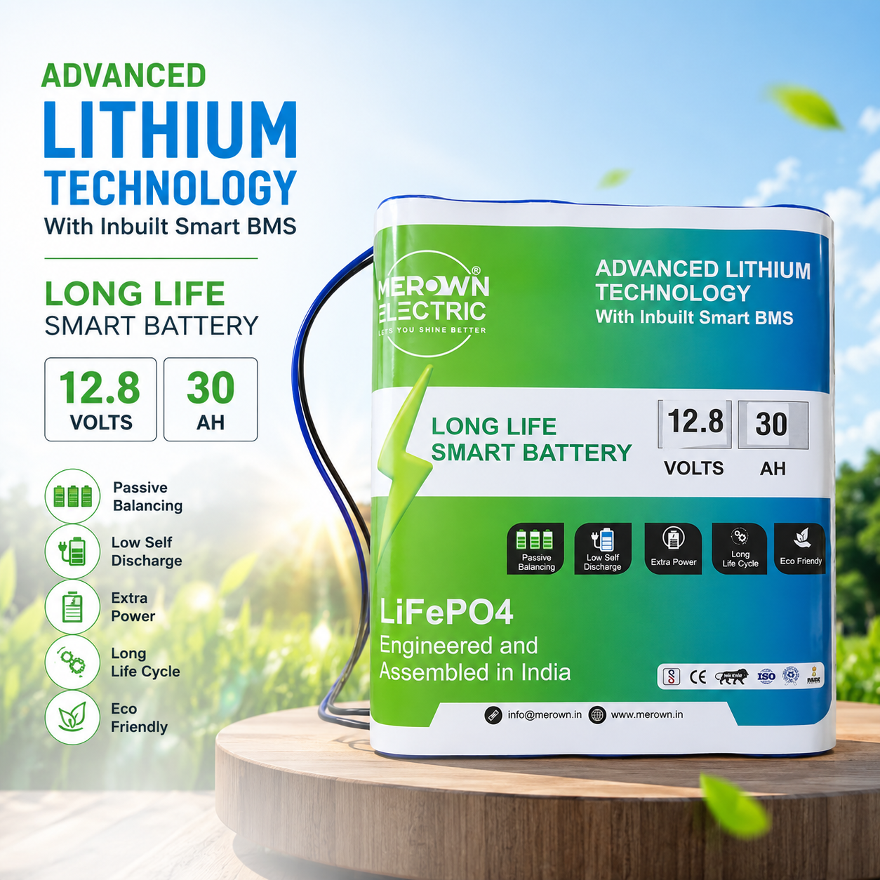 Li-ion/LiFe-Po4 Batteries